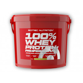 100% Whey Protein Professional 5000g - wanilia
