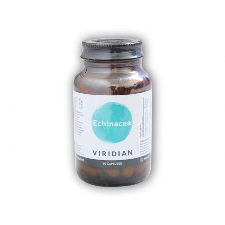 Echinacea 60 kapsułek