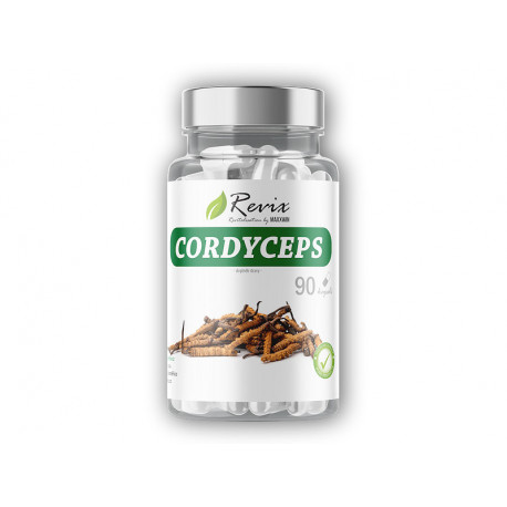 Cordyceps 90 kapsułek