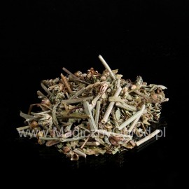 Cykoria - Cichorum intybus - 250g posiekany