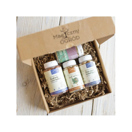 Modułowy zestaw Buhnera na boreliozę - uzupełniający