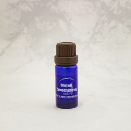 Olej z tui 100% - 10ml