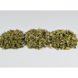 Liść Damiana premium - Turnera diffusa - 5kg posiekany