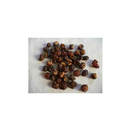 Orzechy Trifoliatus do prania - Sapindus triifoliatus - 250g