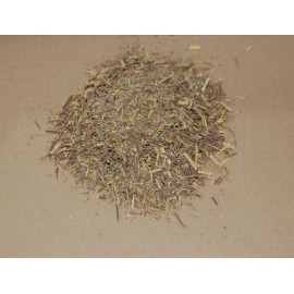 Serwetka Damiana - Turnera diffusa - 50g mielona