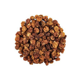 Pięciornik suszony - 20kg (karton)