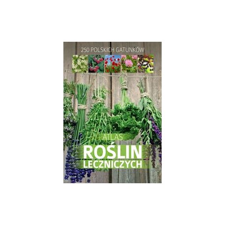 Atlas roślin leczniczych - Giennadij Mederska