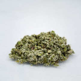 Podbiał pospolity - Tussilago farfara - 1kg