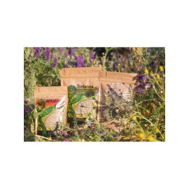 Zestaw magiczne herbatki