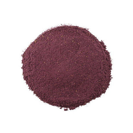 Borówka Amerykańska Liofilizowana w Proszku - 1kg