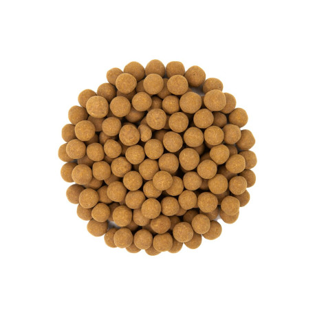 Ryż Chipsy Czekoladowe z Cynamonem - 3kg