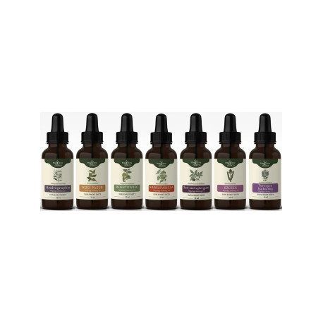 Protokół Bühnera nalewka z boreliozy - PRZEDŁUŻONY - 50ml