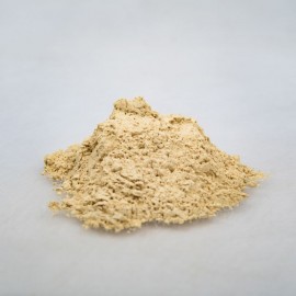 Dong quai - korzeń arcydzięgla - Angelica sinensis - 50g mielone
