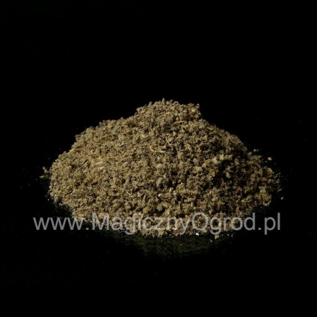 Dziewanna drobna - Verbascum thapsiforme - 5kg