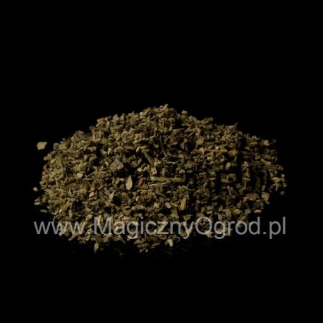 Dziewanna - Verbascum thapsiforme - 50g