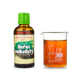Goryczka wielkokwiatowa (TCM) - Krople ziołowe Paula (nalewka) 50 ml