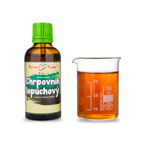 Łopian Chaber (TCM) - Krople ziołowe Paula (Nalewka) 50 ml