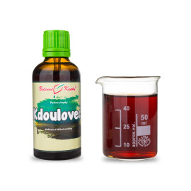 Pigwa (TCM) - Krople ziołowe Paula (nalewka) 50 ml