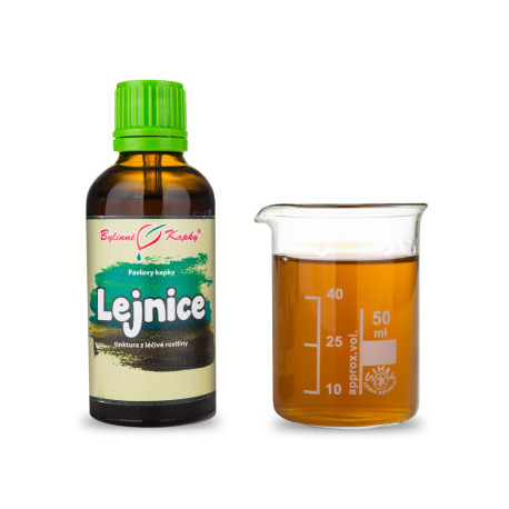 Lejnice (TCM) - Krople ziołowe Pawła (nalewka) 50 ml
