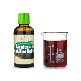 Lindera kulčibolista (TCM) - Krople ziołowe Paula (nalewka) 50 ml