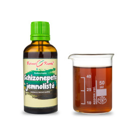 Schizonepeta (TCM) - Krople ziołowe Pavlovy (nalewka) 50 ml