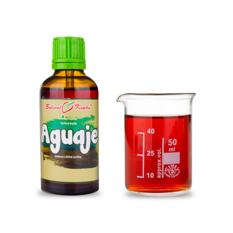 Aguaje - Krople ziołowe Pawła (nalewka) 50 ml