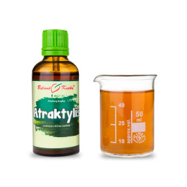Atraktylis krople (nalewka) 50 ml