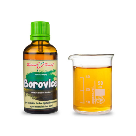 Pędy sosny zwyczajnej krople (nalewka) 50 ml