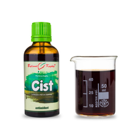 Cist szarawe krople (nalewka) 50 ml