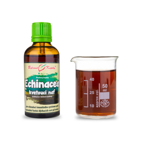 Echinacea fioletowe krople - kwitnąca łodyga (nalewka) 50 ml