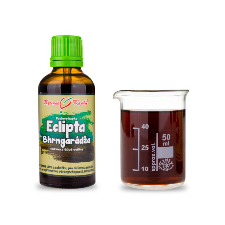 Eclipta Białe krople (nalewka) 50 ml