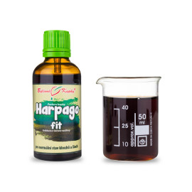 Harpagofit leżące krople (nalewka) 50 ml