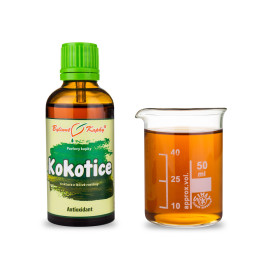 Kokotica krople (nalewka) 50 ml