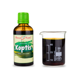 Koptis Krople chińskie (nalewka) 50 ml