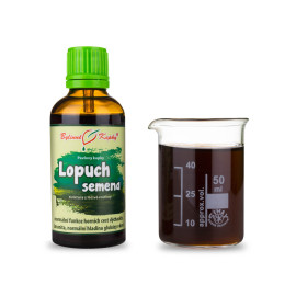 Łopian większe nasiona krople (nalewka) 50 ml