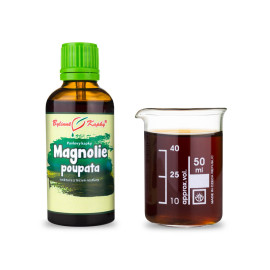 Krople pąków magnolii (nalewka) 50 ml