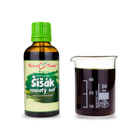 Krople z szyszek sosny brodatej (nalewka) 50 ml