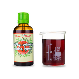 Komórki, cytokiny, śledziona, limfa (nietoperz 3) Krople (nalewka) 50 ml