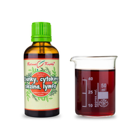 Komórki, cytokiny, śledziona, limfa (nietoperz 3) Krople (nalewka) 50 ml