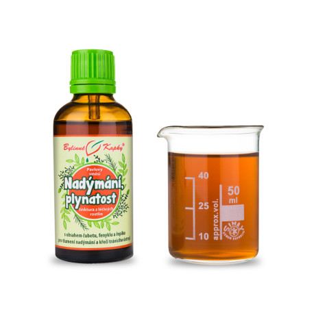 Wzdęcia, krople na wzdęcia (nalewka) 50 ml