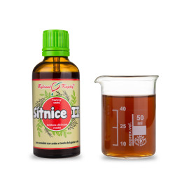 Regeneracja siatkówki II krople (nalewka) 50 ml