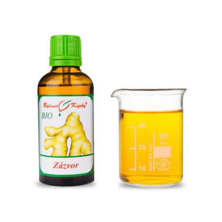 Imbir BIO krople (nalewka) 50 ml