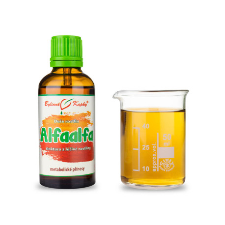 Alfaalfa (Lucerna) - Krople ziołowe (nalewka) Dusza roślinna 50 ml