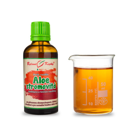 Drzewo Aloesowe - Krople Ziołowe (Nalewka) Dusza Roślinna 50 ml
