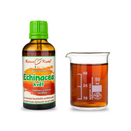 Echinacea Purple Flower - Ziołowe Krople (Nalewka) Roślinna Dusza 50 ml