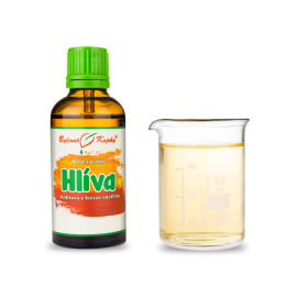 Boczniak ostrygowaty - Krople ziołowe (nalewka) Plant Soul 50 ml