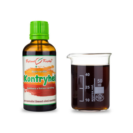 Alchemilka żółto-zielona - Krople ziołowe (nalewka) Dusza roślinna 50 ml