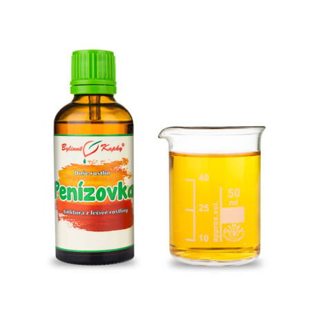 Powojnik zimowy - Krople ziołowe (nalewka) Dusza roślinna 50 ml