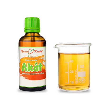 Biała Akacja - Krople ziołowe (Nalewka) 50 ml