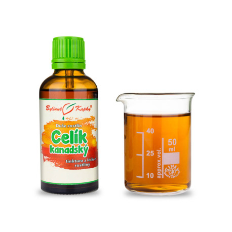 Nawłoć kanadyjska - krople Dusza roślin (nalewka) 50 ml